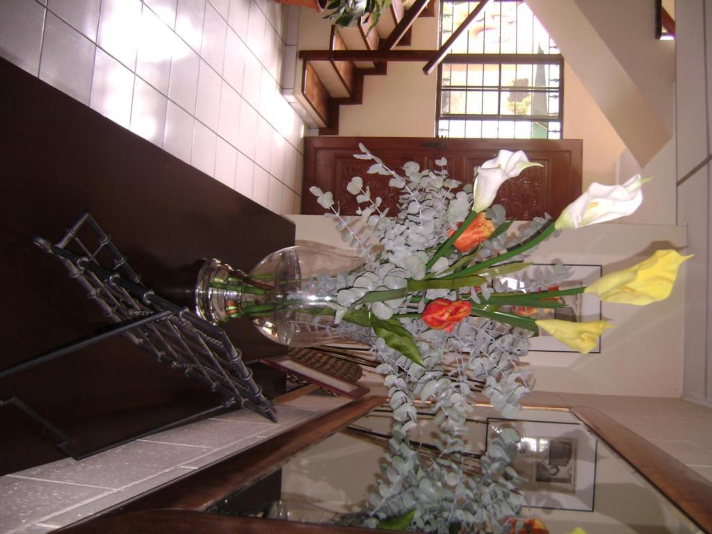 سان سلفادور Hotel San Mateo المظهر الخارجي الصورة