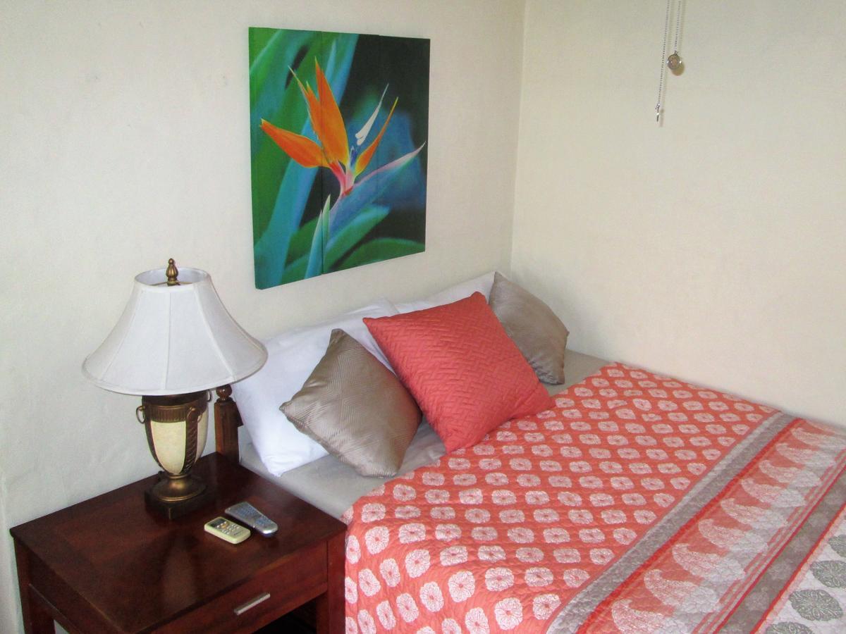 سان سلفادور Hotel San Mateo المظهر الخارجي الصورة